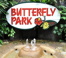 Butterfly Park and Insect Kingdom