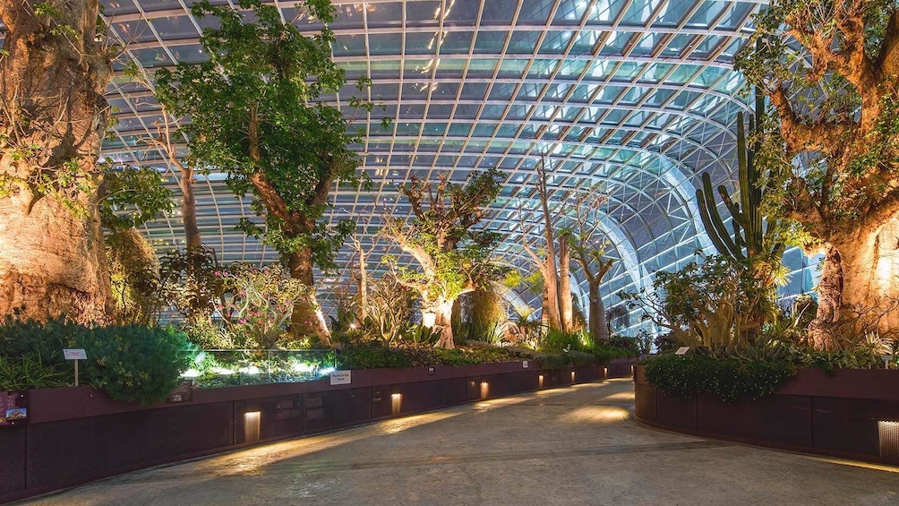 Show item 2 of 10. Gardens by the Bay Double Conservatories (Direct Admission)