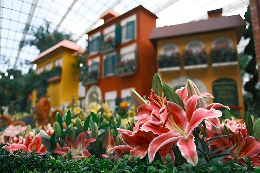 Gardens by the Bay Admission Ticket