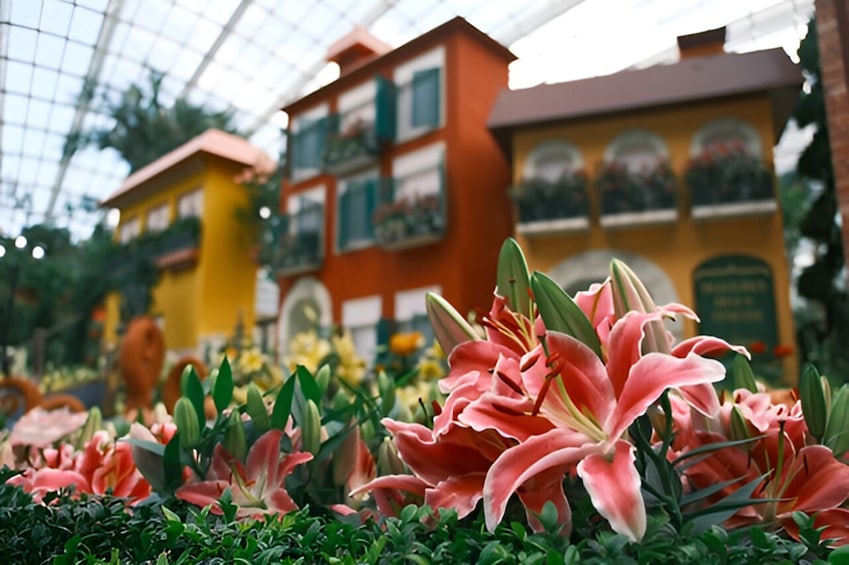 Gardens by the Bay Admission Ticket