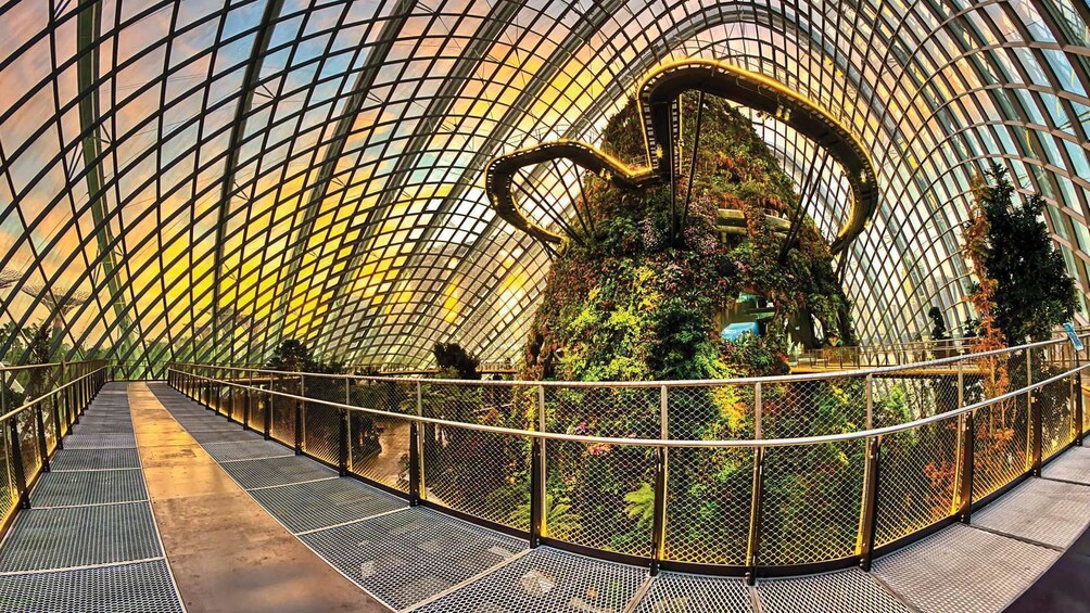 Gardens by the Bay Double Conservatories (Direct Admission)