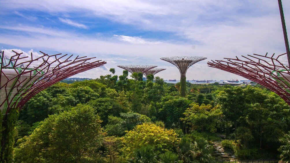 Gardens by the Bay