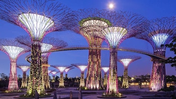 Gardens by the Bay + OCBC Skyway