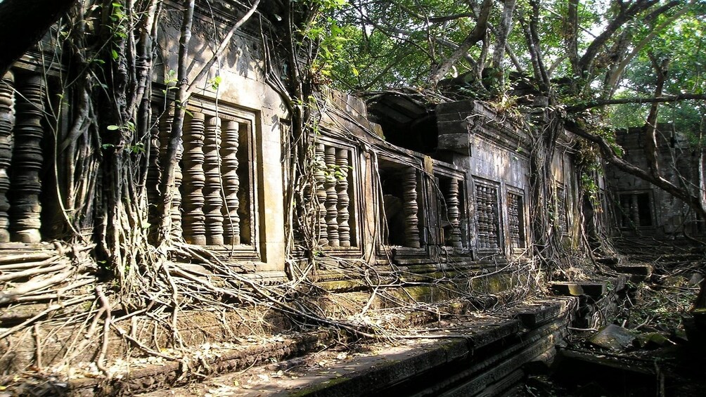 Close-up of Beng Mealea