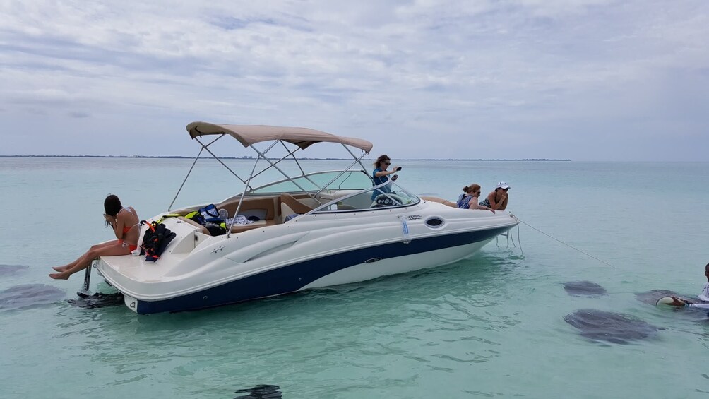 Private North Sound Charter with Stingray Encounter & Snorkel