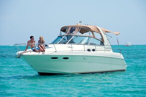 North Sound Charter with Stingray Encounter & Snorkel