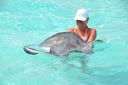 Private North Sound Charter with Stingray Encounter & Snorkel