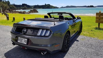 Half Day 'Muster' - Bay of Islands Private V8 Mustang Tour