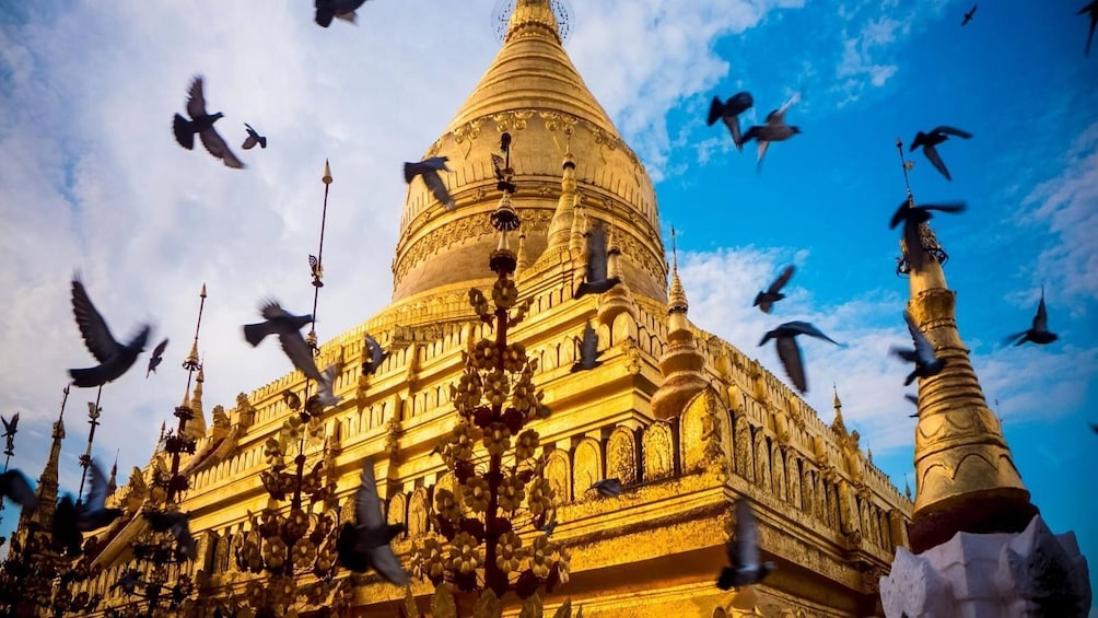 Shwezigon Pagoda surrounded by birds in Bagan, Myanmar