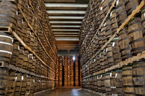 Barcelo Rum Tour
