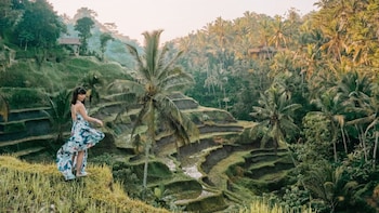 Private Bali Tour All About Ubud