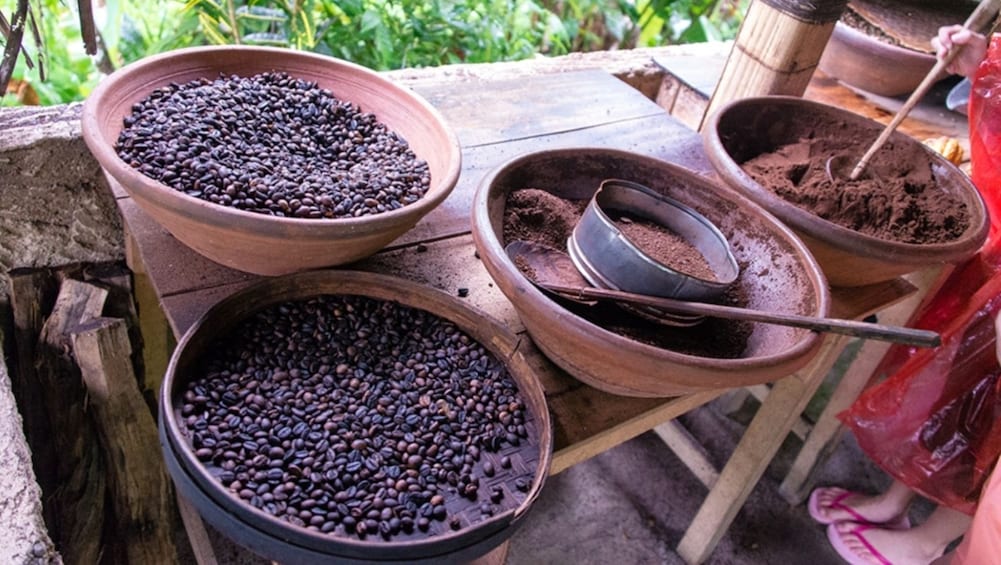 Show item 5 of 9. Coffee beans at a plantation in Bali