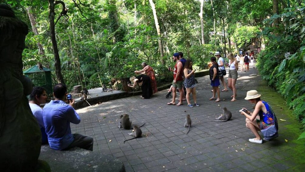 Show item 3 of 9. Best Ubud Tour with Jungle Swing