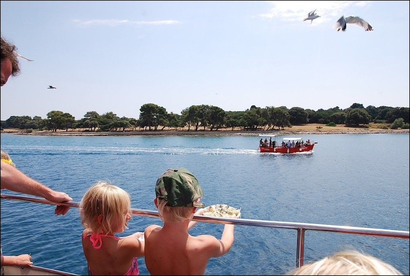 Show item 1 of 10. Brijuni National Park Boat Excursion from Pula