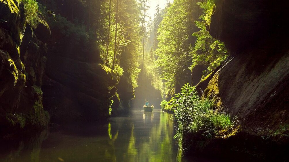 People in a boat on a quiet lake surrounded by trees in Switzerland