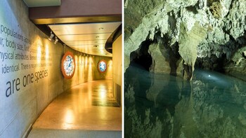 Private Tour of Maropeng and Sterkfontein Caves