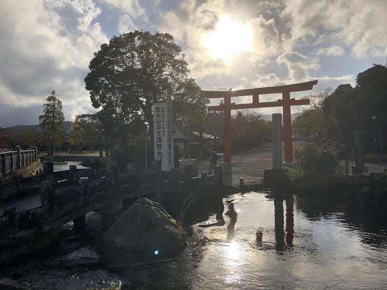 Bullet Train (Shinkansen) and Mt. Fuji Famous Food Tour 