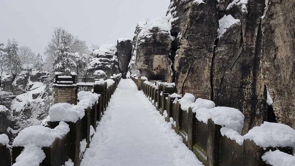 Best of Bohemian Saxon Switzerland from Dresden-Fantasy Tour