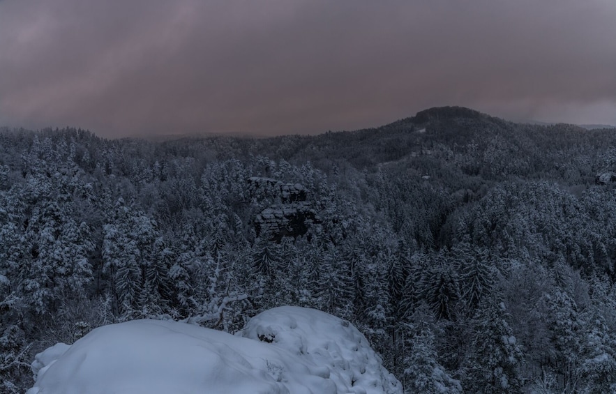 Best of Bohemian Saxon Switzerland from Dresden- Winter Tour