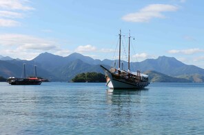 Angra dos Reis Archipelago Cruise with Lunch