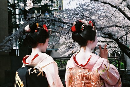 2024 Kioton kevätilta (kirsikankukka) Ruokakierros Kiotossa