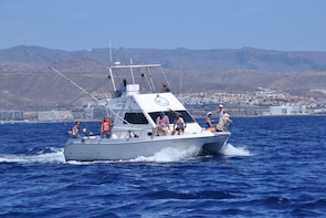 6-Hour Sport Fishing at Puerto Rico in Gran Canaria