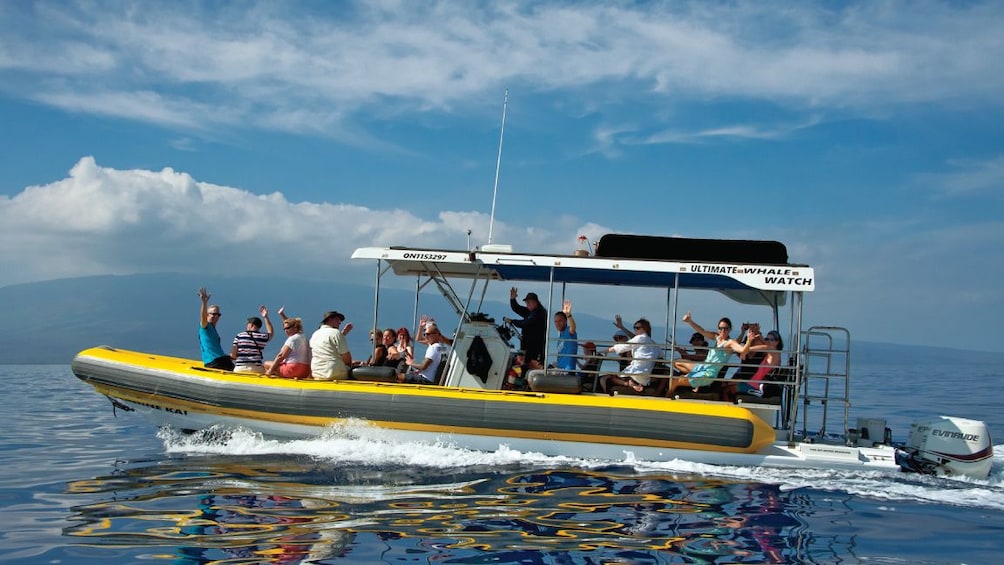Show item 3 of 8. 2 Hour Small Group Whale Watch Tour