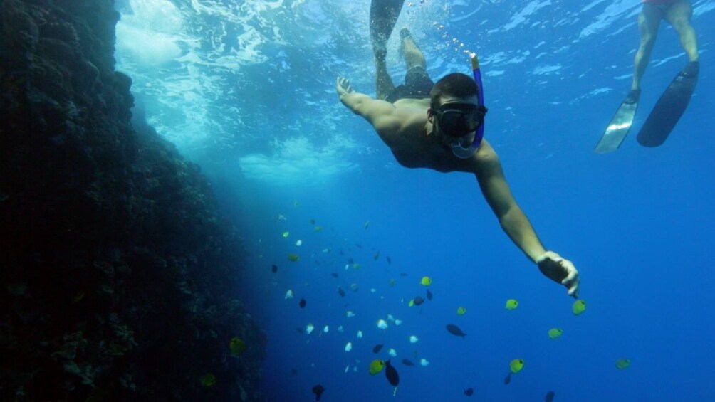 Snorkeler swims over small fish in the ocean near Lanai, Hawaii