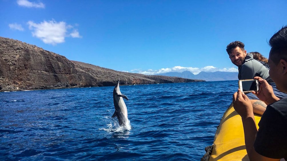 Tourist takes photo of dolphin breaching near boat
