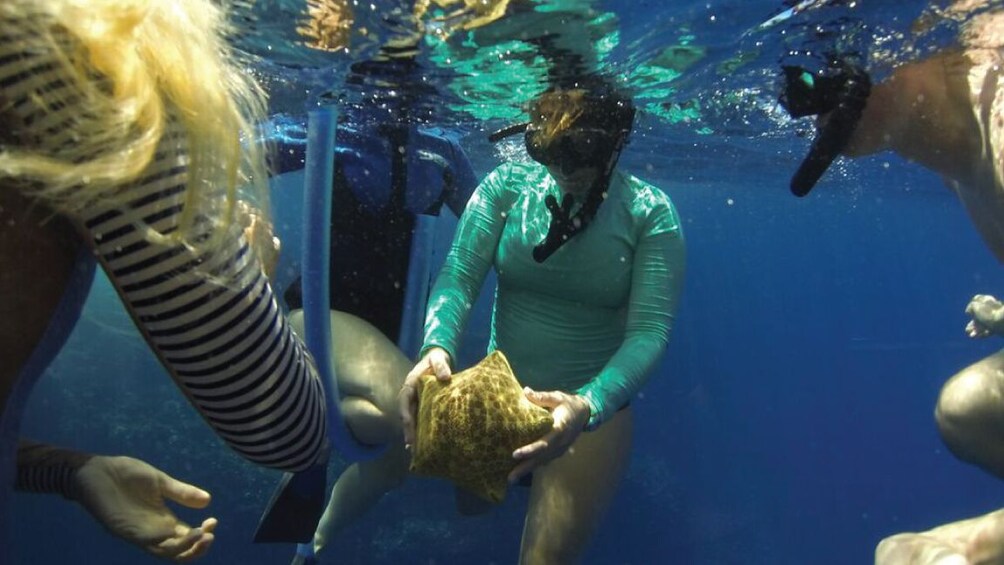 Snorkelers crowd around as one holds starfish underwater