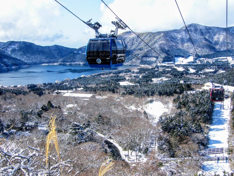 Mt Fuji and Hakone 1-Day Tour Return by Bus