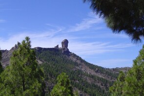 1-day Discovery Tour around Gran Canaria