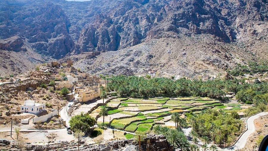 view of terraced gardens with hills of Bilad Sayt in background