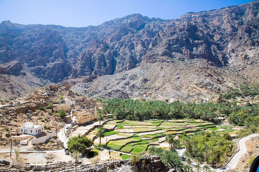 view of terraced gardens with hills of Bilad Sayt in background