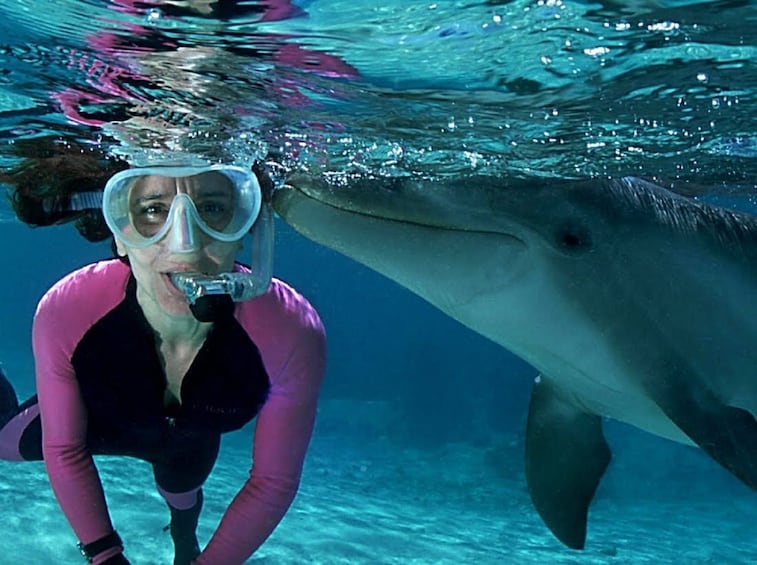 Woman snorkeling right next to a dolphin in Bandar Khiran bay 