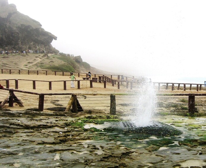 The Best of West: Salalah Tours