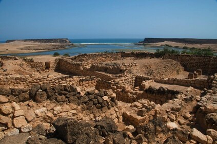 Ganztägig zu den Juwelen des Ostens mit Wadi Darbat: Salalah Touren