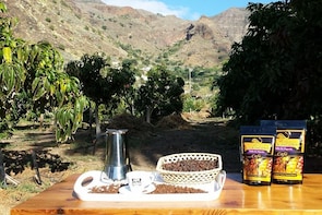 Coffee Production Tour at Finca los Castaños in Gran Canaria