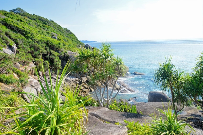 Coast of the Similan Islands in Thailand