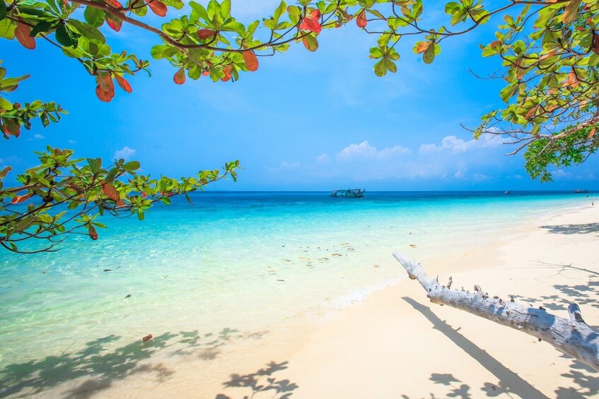 Beach on Similan Islands in Thailand