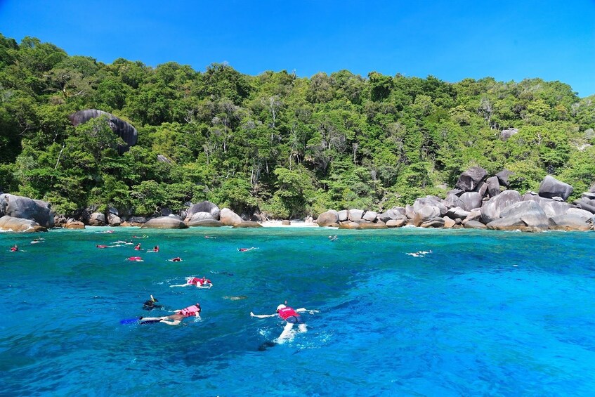 Snorkelers off the coast of the Similan Islands in Thailand