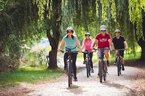 Beach To Queenstown Bay Half Day Self Guide Bike Ride