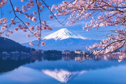 From Tokyo: Mt. Fuji, Oshino Hakkai & Gotemba Outlets 1Day Bus Tour