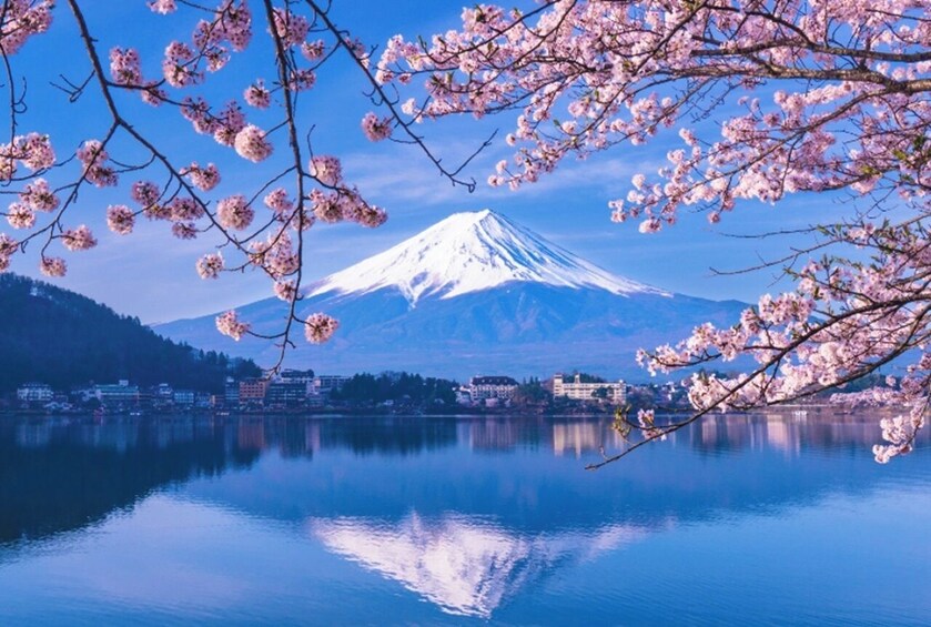 From Tokyo: Mt. Fuji, Oshino Hakkai & Gotemba Outlets 1Day Bus Tour