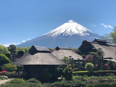 Tour di un giorno alla quinta stazione del Monte Fuji, Oshino Hakkai e shop...