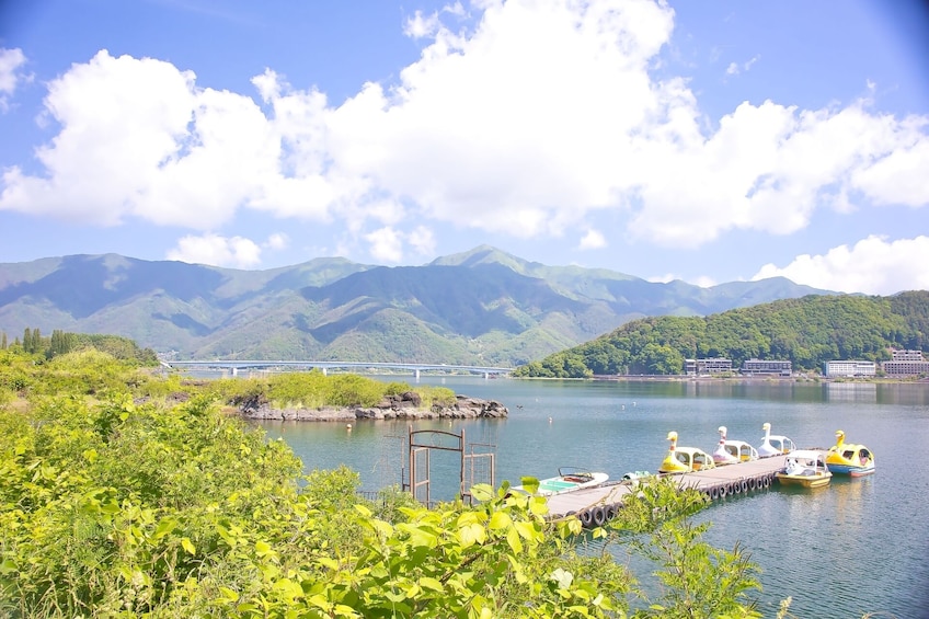 From Tokyo: Mt. Fuji, Oshino Hakkai & Gotemba Outlets 1Day Bus Tour