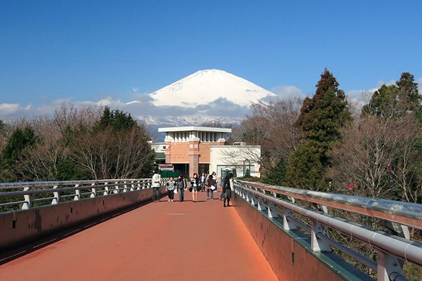 Bridge with Mt Fuji in the background in Japan