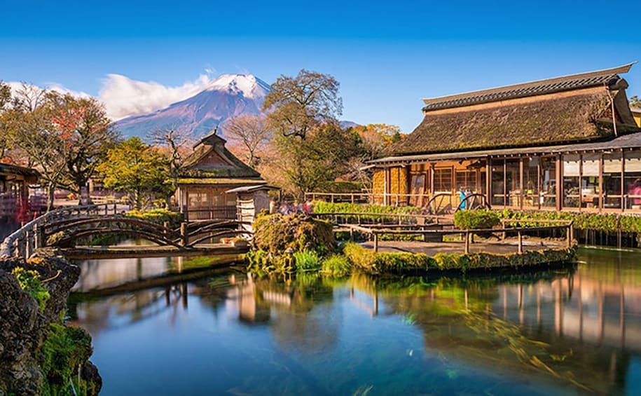 Day Tour to Mt. Fuji 5th Station, Oshino Hakkai & Shopping