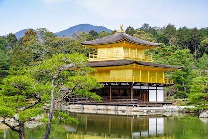 Tour de 1 día en autobús por Kioto y Nara