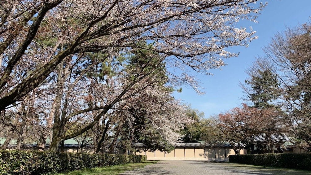 Kyoto and Nara 1 Day Bus Tour